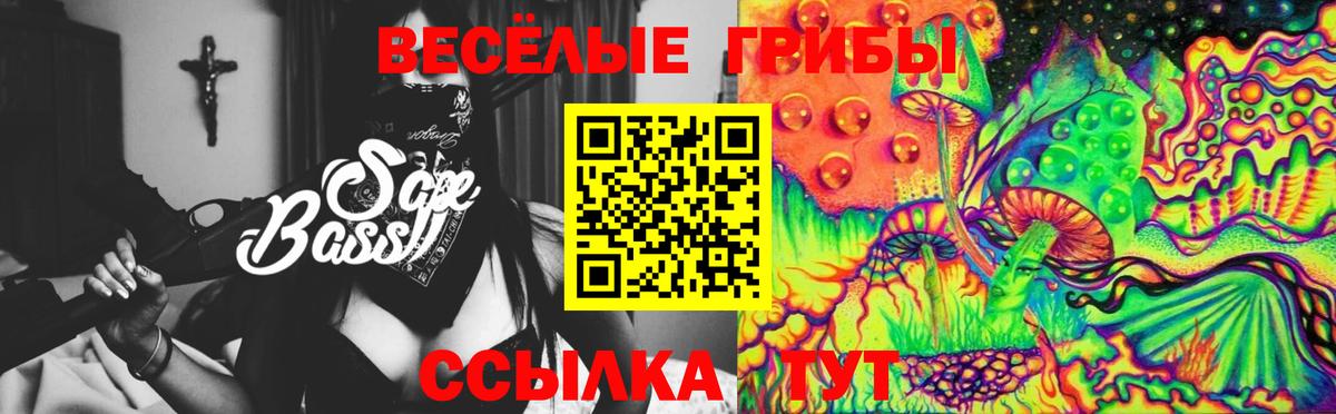 Галлюциногенные грибы Psilocybe  Псилоцибиновые грибы Psilocybe  Вход с VPN  цены наркотик  Лабинск 